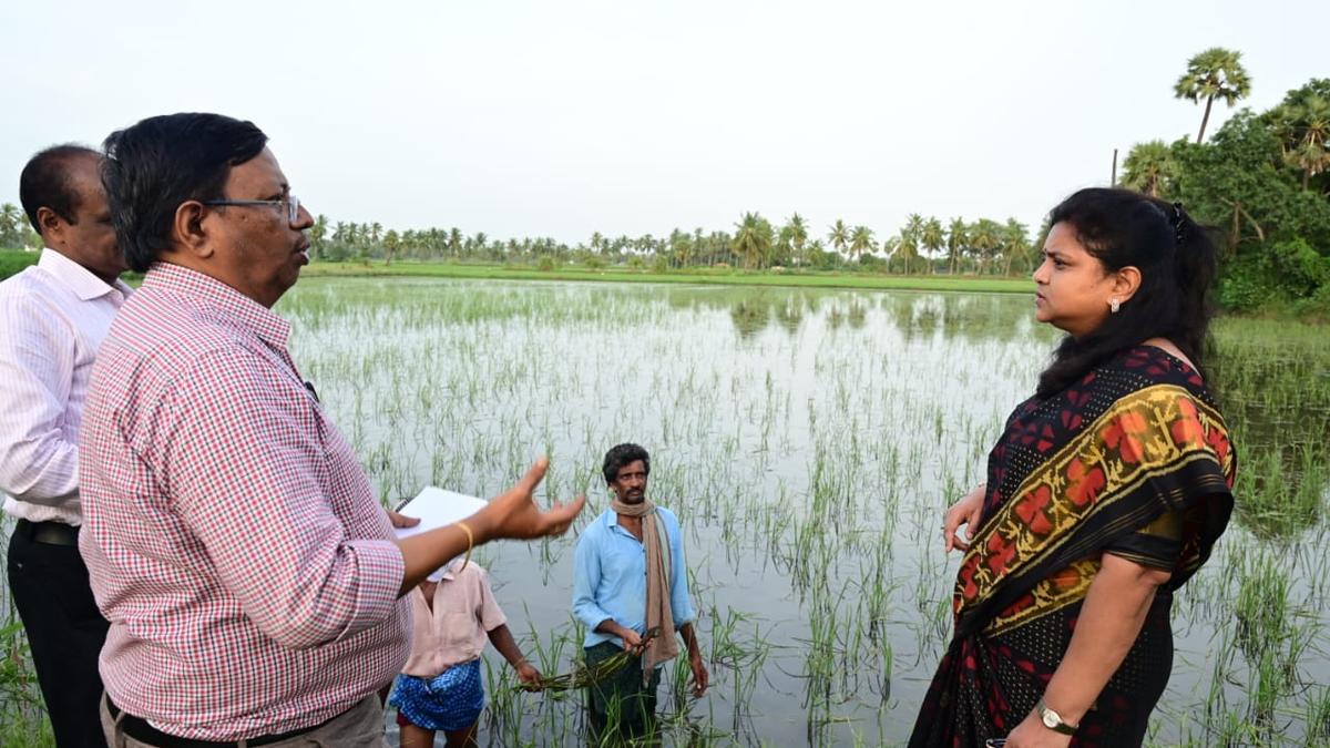 18,000 tribal families bear the burnt of floods in the Godavari region